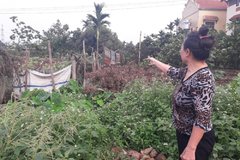 Chương Mỹ, Hà Nội: Dân bức xúc vì bị thu hồi đất không rõ ràng