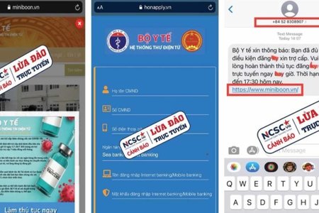 Giả mạo website Bộ Y tế lợi dụng dịch Covid-19 để lừa đảo