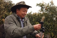 Alibaba hợp tác với 1.000 ngôi làng để trẻ hóa ngành nông nghiệp của Trung Quốc