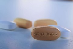 Thuốc Molnupiravir điều trị COVID-19 vừa được Bộ Y tế cấp phép, giá bán ra sao?
