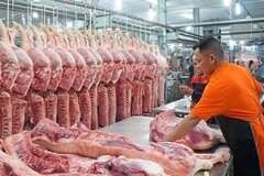 Pháp nhắm thị trường thịt lợn Việt Nam