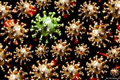 Tại sao các biến thể omicron của coronavirus đang gia tăng?