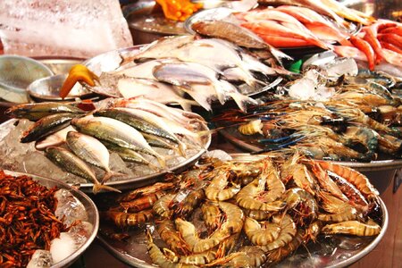 Xuất khẩu cá tra sang ASEAN tăng 83%