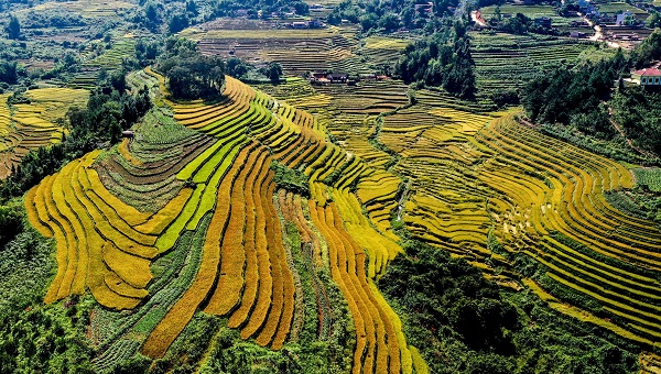 Du lịch Quảng Ninh mở cửa: Kỳ vọng từ những giải pháp táo bạo