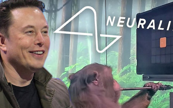 Elon Musk: Sẽ cấy chip vào não người bại liệt vào năm 2022