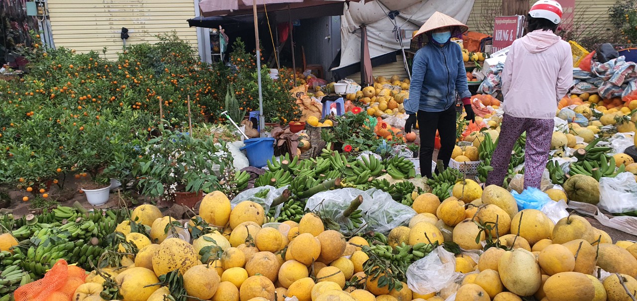Hà Nội: Sôi động chợ hoa xuân ngày cận Tết