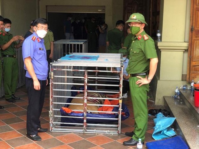 Phạt 7 năm tù đối tượng nuôi nhốt 14 con hổ trong hầm nhà ảnh 1