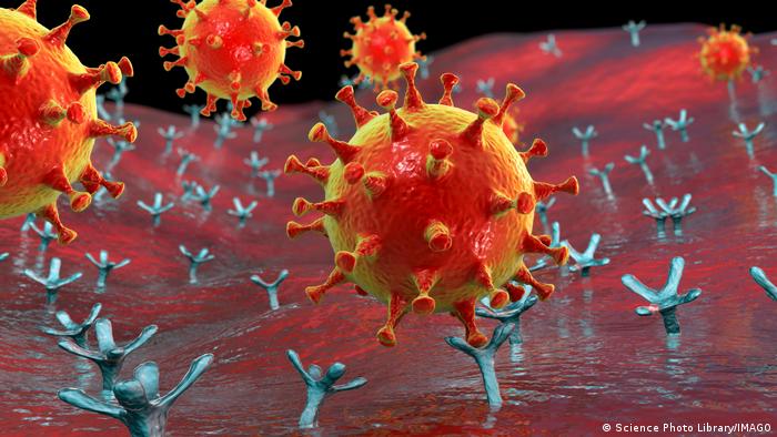 Tại sao các biến thể omicron của coronavirus đang gia tăng?